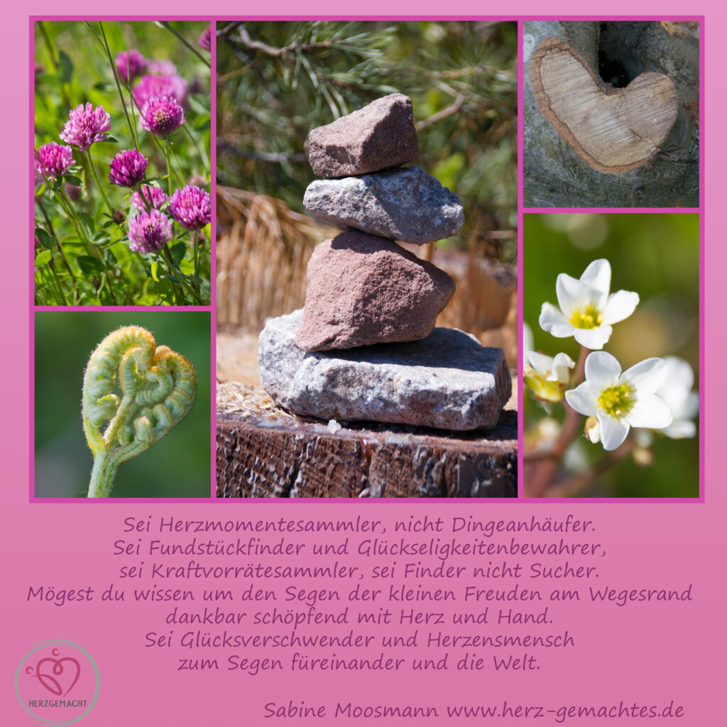 Sonntagsfundstücke am Wegesrand herzgemachtes.de
