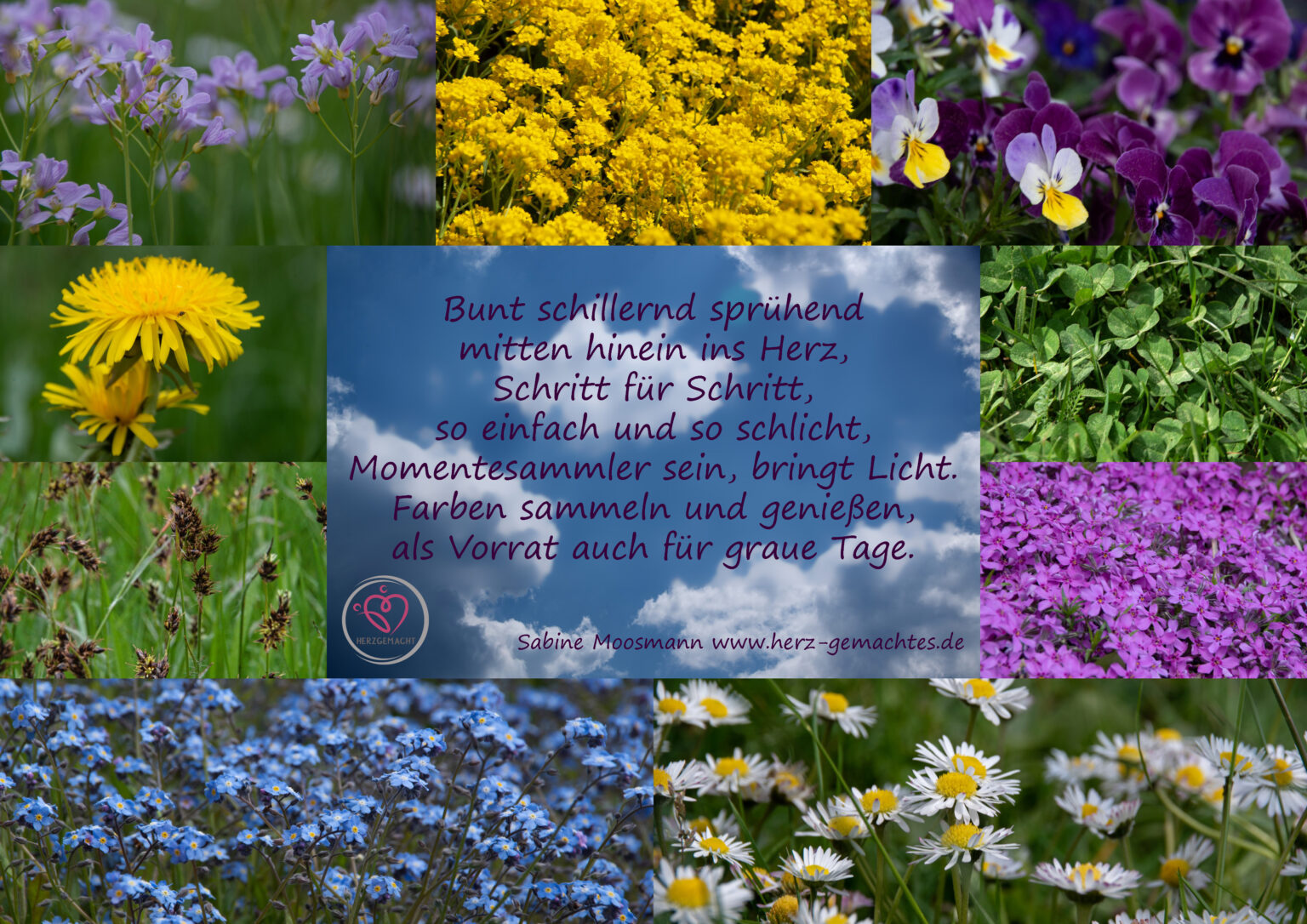 BUNTES LEBEN – herz-gemachtes.de BUNTES LEBEN – herz-gemachtes.de